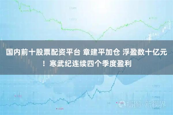 国内前十股票配资平台 章建平加仓 浮盈数十亿元！寒武纪连续四个季度盈利