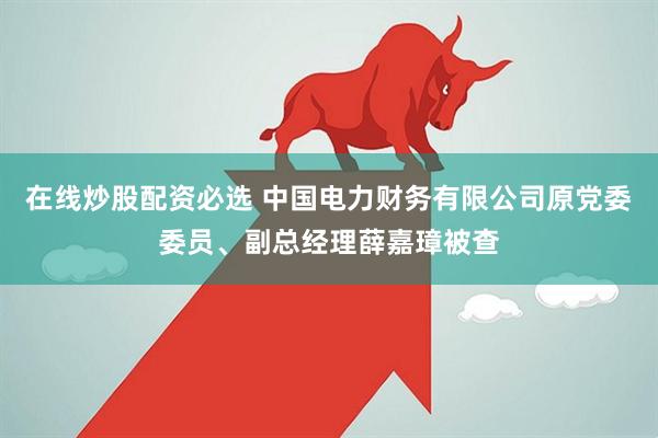 在线炒股配资必选 中国电力财务有限公司原党委委员、副总经理薛嘉璋被查